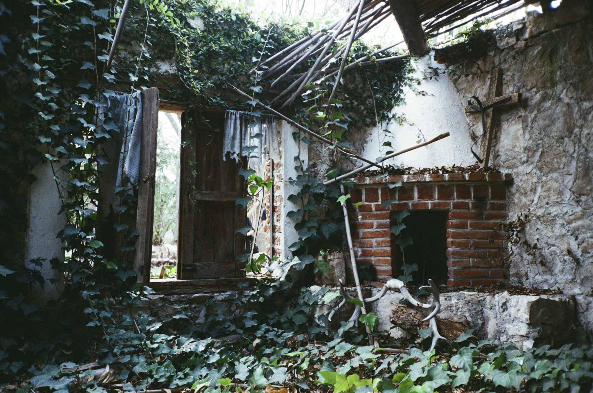 Carolina Estrada — creadora de Flubbies